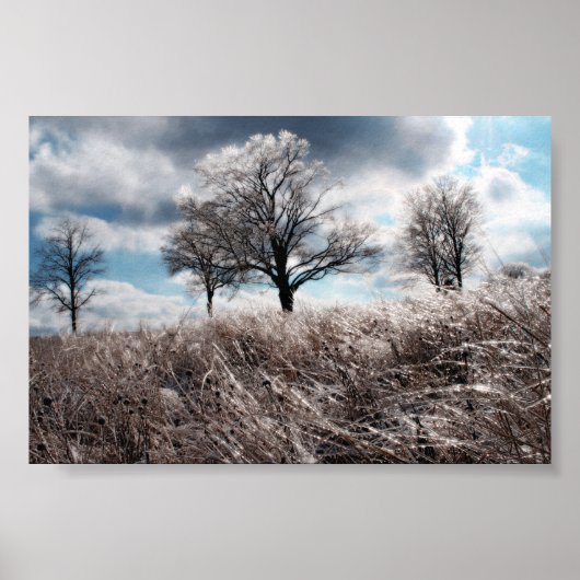 Prarie Poster (Vorne)