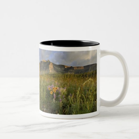 Prärie-Wildblumen im Gletschertal Zweifarbige Tasse (Rechts)