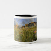 Prärie-Wildblumen im Gletschertal Zweifarbige Tasse (Mittel)