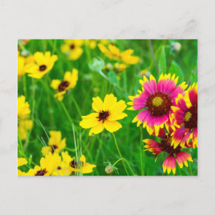 Prärie-Wildblumen im Hill Country Postkarte