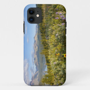 Prärie-Wildblumen und Lower Two Medicine Lake Case-Mate iPhone Hülle