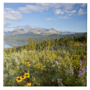 Prärie-Wildblumen und Lower Two Medicine Lake Fliese