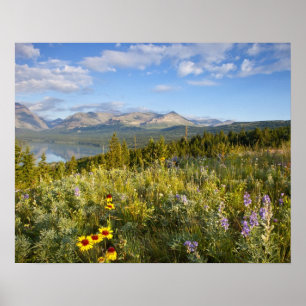 Prärie-Wildblumen und Lower Two Medicine Lake Poster