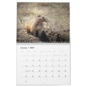 Präriehund 2027 12-Monatskalender Kalender (Jan 2027)