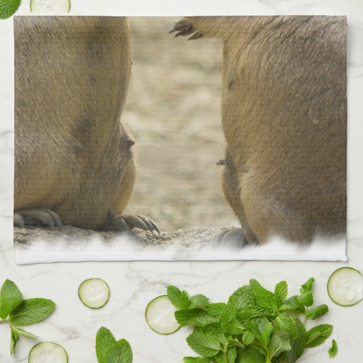 Präriehund-Abkommen-Geschirrtuch Geschirrtuch (Gefaltet)