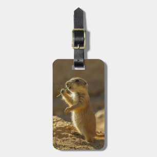 Präriehund-Baby-Essen, Arizona Gepäckanhänger