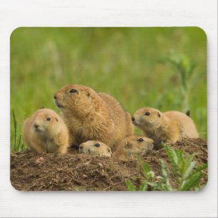 Präriehund-Familie in der Höhle Mousepad
