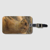 Präriehund-Foto Gepäckanhänger (Vorderseite (Horizontal))