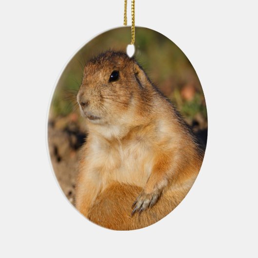 Präriehund ist voll keramikornament (Rechts)