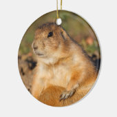 Präriehund ist voll keramikornament (Links)