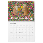 Präriehund, Kalender (Mär 2027)