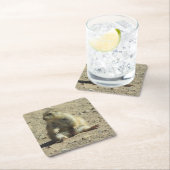 Präriehund Rechteckiger Pappuntersetzer (Vor Ort)