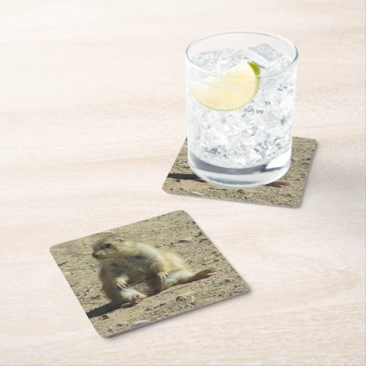 Präriehund Rechteckiger Pappuntersetzer (Vor Ort)