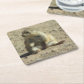 Präriehund Rechteckiger Pappuntersetzer (angewinkelt)