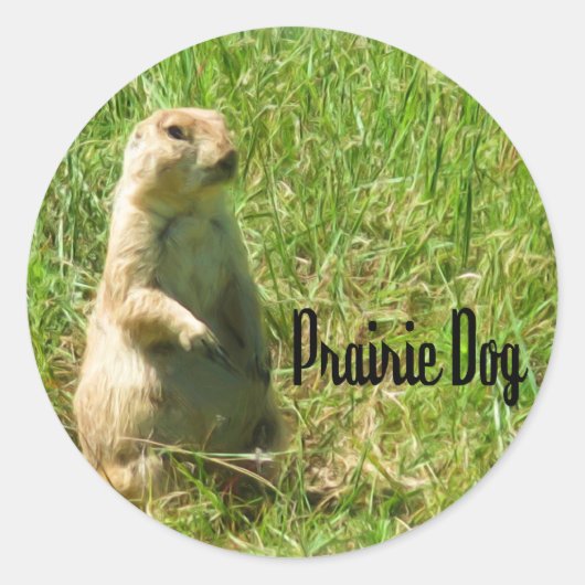 Präriehund Runder Aufkleber (Vorderseite)