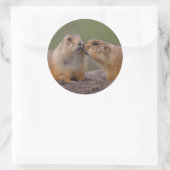 Präriehund Runder Aufkleber (Tasche)