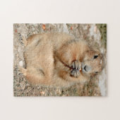 Präriehund-Snacking-Rätsel Puzzle (Horizontal)