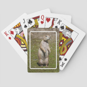 Präriehund Spielkarten