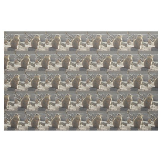 Präriehund Stoff (Fat Quarter (45,7 x 55,9 cm))