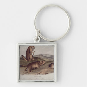 Präriehund 'von den Quadrupeds von North Amerika Schlüsselanhänger