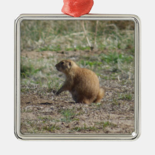Präriehund-Weihnachtsverzierung Silbernes Ornament
