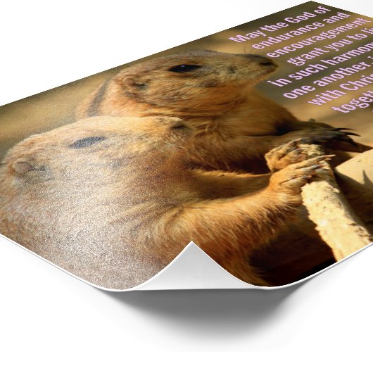 Präriehunde Hunde mit Römern 15:5-6 Fotodruck (Ecke)