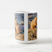 PRÄRIEHUNDE KAFFEETASSE (Mittel)