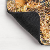 PRÄRIEHUNDE MOUSEPAD (Ecke)