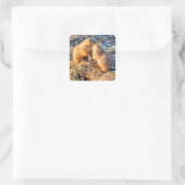 PRÄRIEHUNDE QUADRATISCHER AUFKLEBER (Tasche)