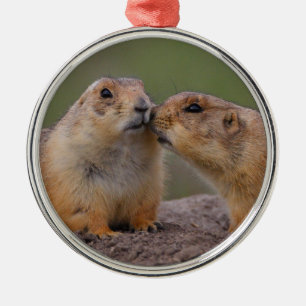 Präriehundkuß Ornament Aus Metall