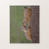 Präriehundküssen Puzzle (Vertikal)