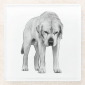 Präsenz Glasuntersetzer (Vorderseite)