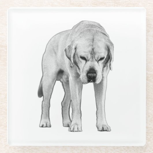 Präsenz Glasuntersetzer (Vorderseite)