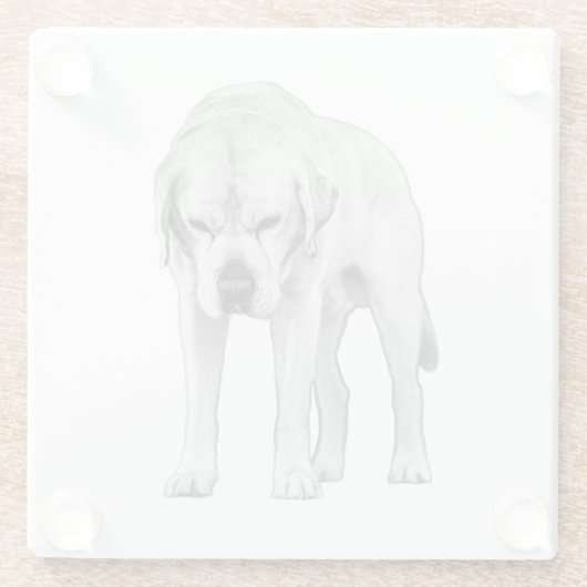 Präsenz Glasuntersetzer (Rückseite)