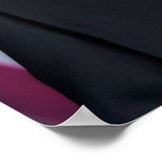 Präsident Barack Obama Poster (Ecke)