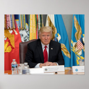 Präsident Donald Trump Poster