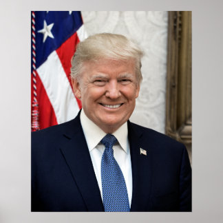 Präsident Donald Trump Poster