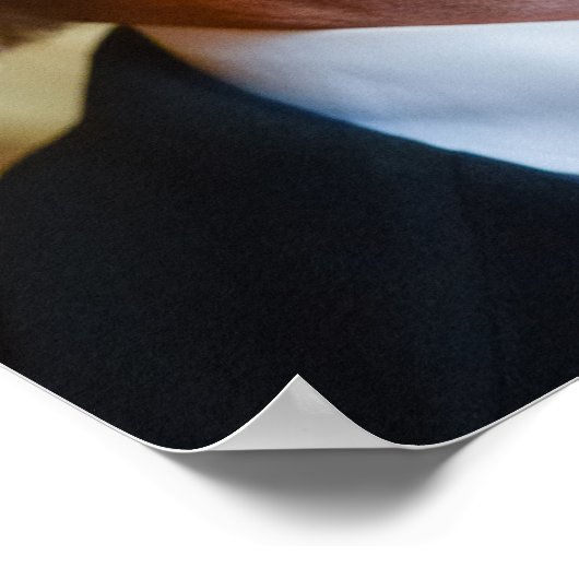 Präsident Donald Trump - Schreiben Sie Ihren eigen Poster (Ecke)