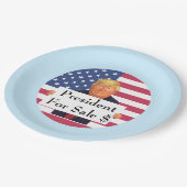 Präsident für Verkaufspapierplatte Pappteller (Schrägansicht)