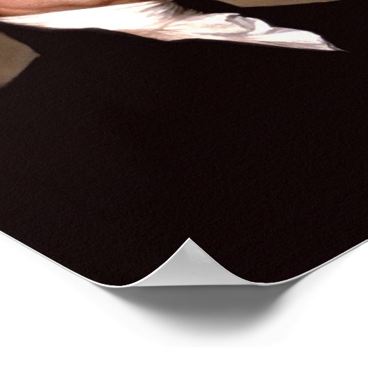 Präsident James Monroe Poster (Ecke)