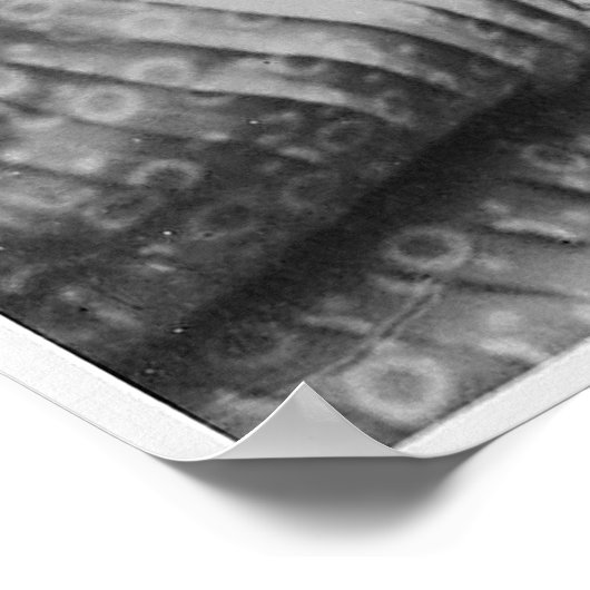 Präsident Kennedy Greets Peace Corps Freiwillige Poster (Ecke)