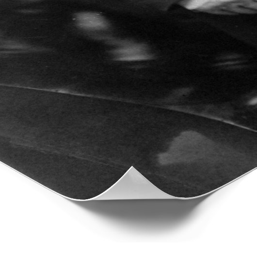 Präsident Martin Van Buren Poster (Ecke)