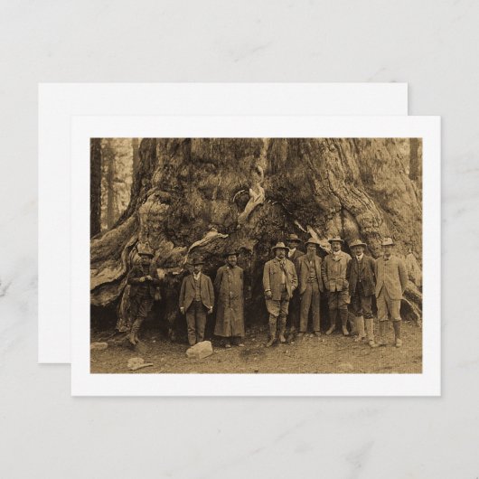 Präsident Roosevelt und John Muir Beneath (Sepia) Postkarte (Vorne/Hinten)