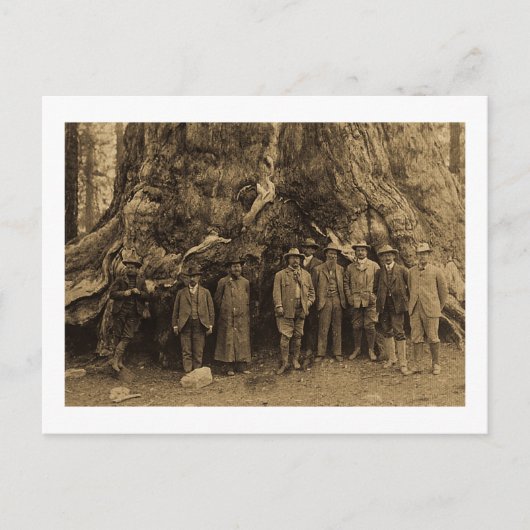 Präsident Roosevelt und John Muir Beneath (Sepia) Postkarte (Vorderseite)