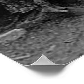 Präsident Roosevelt und John Muir California 1903 Poster (Ecke)