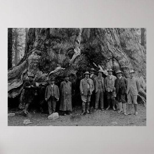 Präsident Roosevelt und John Muir California 1903 Poster (Vorne)