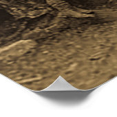 Präsident Roosevelt und John Muir California Sepia Poster (Ecke)