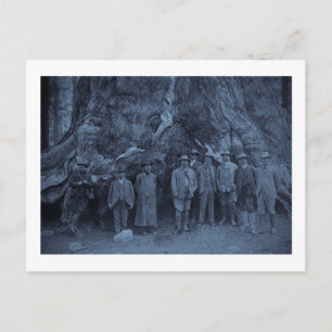 Präsident Roosevelt und John Muir    (Cyan) Postkarte