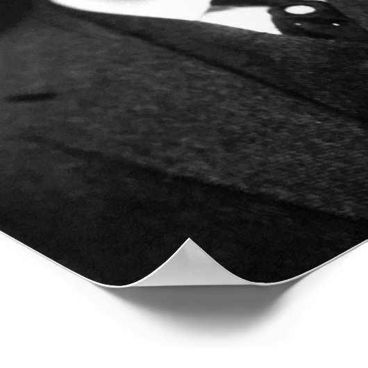 Präsident Teddy Roosevelt Poster (Ecke)