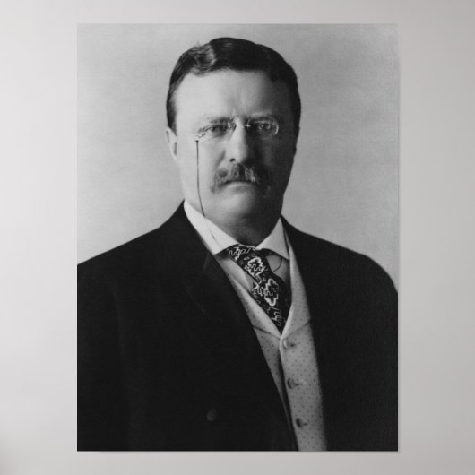 Präsident Theodore Roosevelt - 1904 Poster (Vorne)